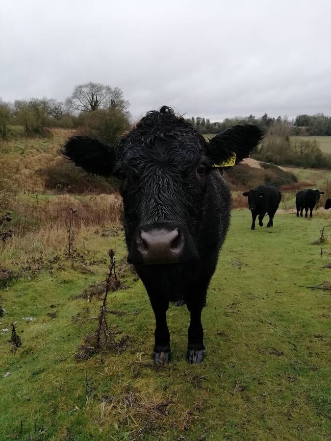 photographer Dave Wells uncategorized  photo