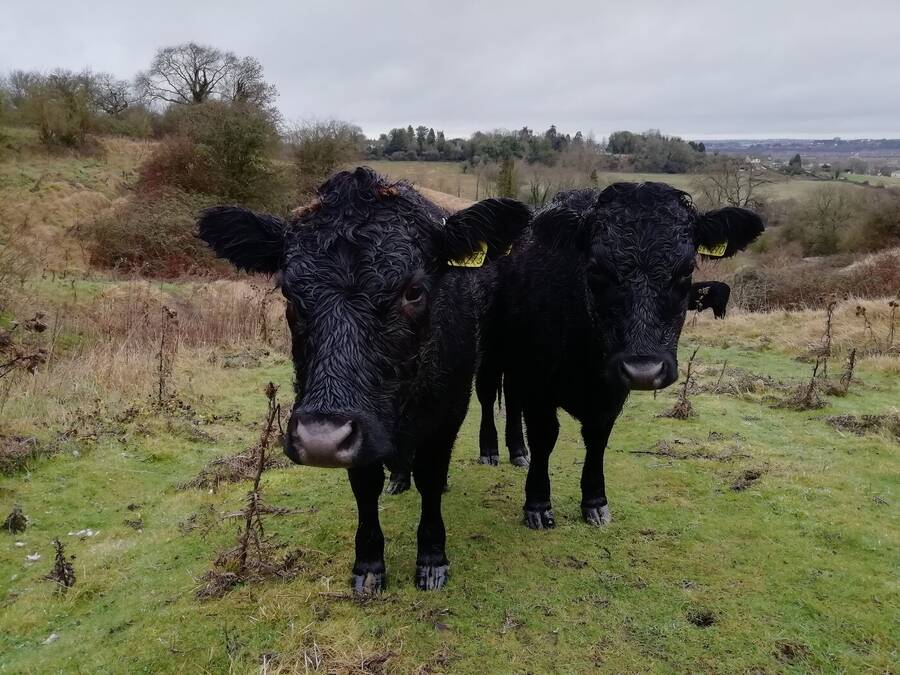 photographer Dave Wells uncategorized  photo