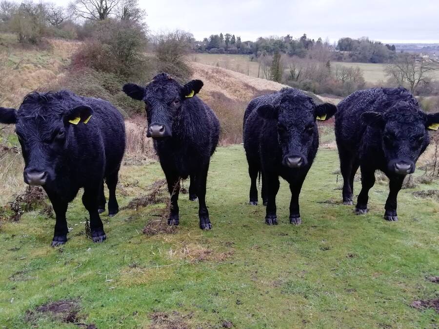 photographer Dave Wells uncategorized  photo