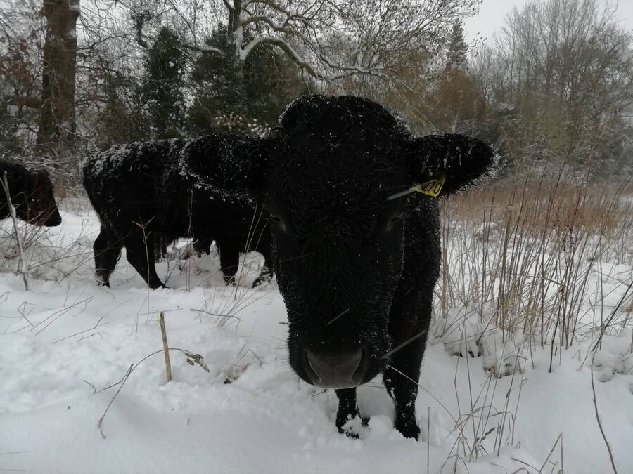 photographer Dave Wells uncategorized  photo