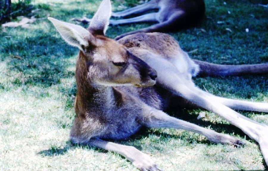 photographer Dave Wells uncategorized  photo