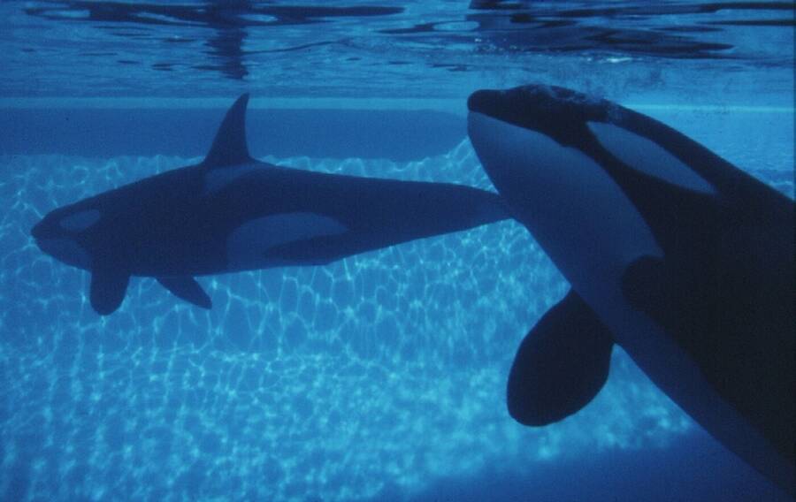 photographer Dave Wells uncategorized  photo