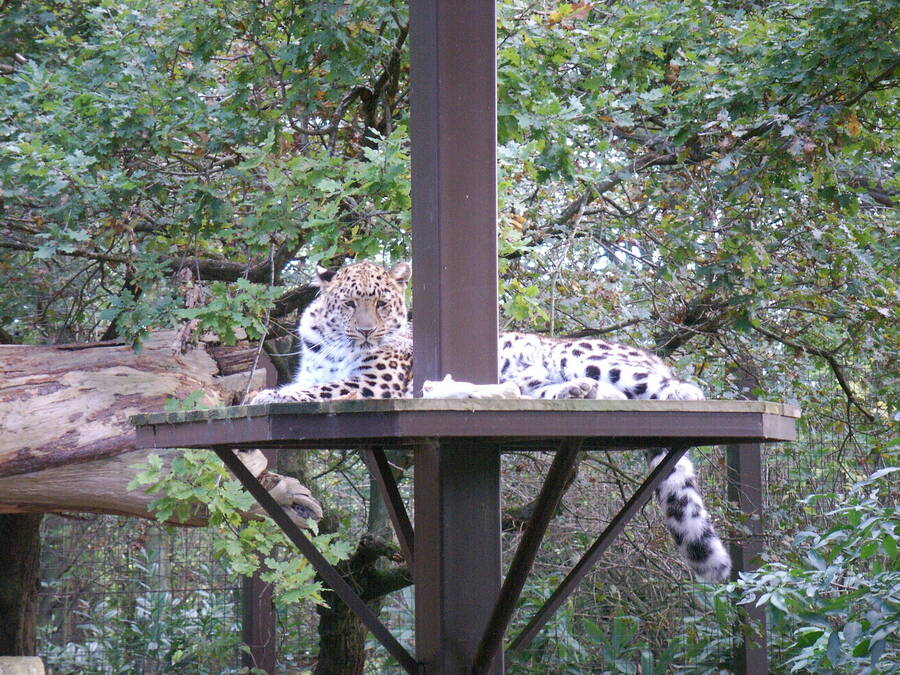 photographer Dave Wells uncategorized  photo