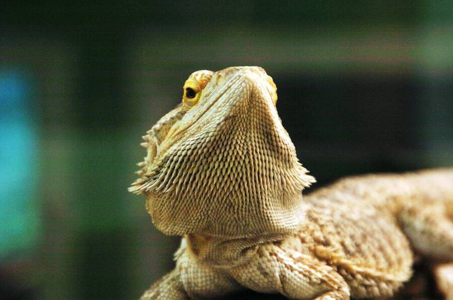 photographer Dave Wells uncategorized  photo