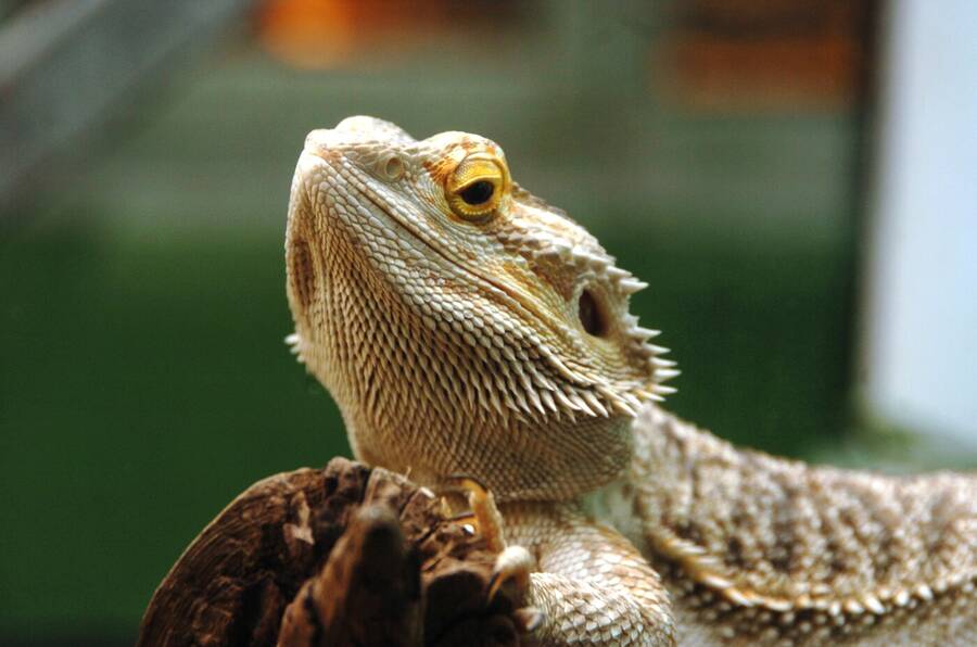 photographer Dave Wells uncategorized  photo