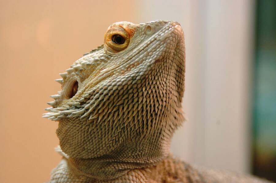 photographer Dave Wells uncategorized  photo