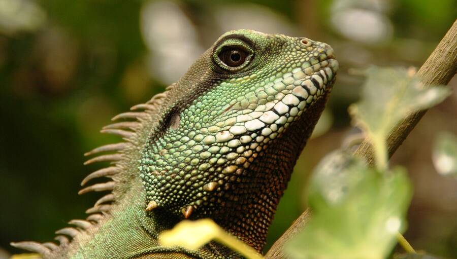 photographer Dave Wells uncategorized  photo