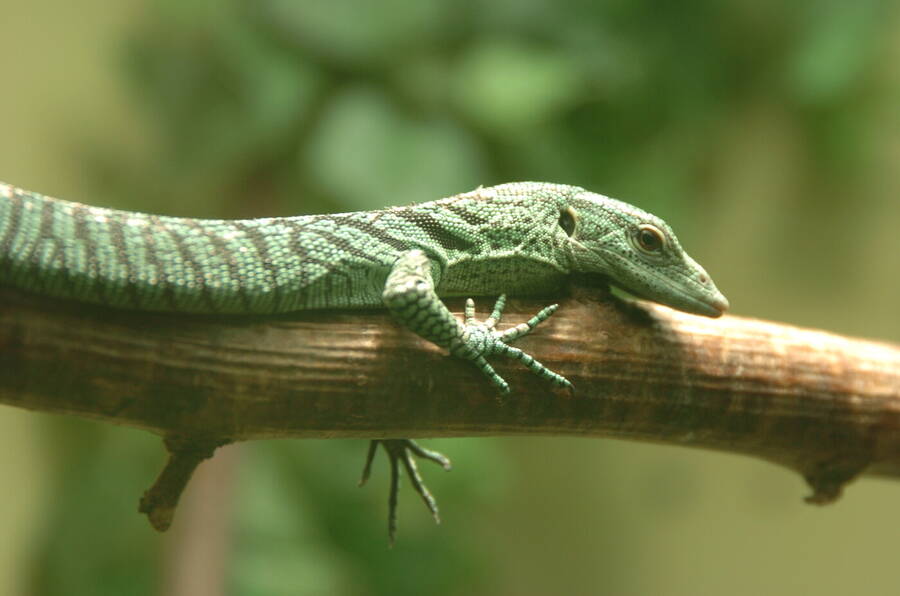 photographer Dave Wells uncategorized  photo