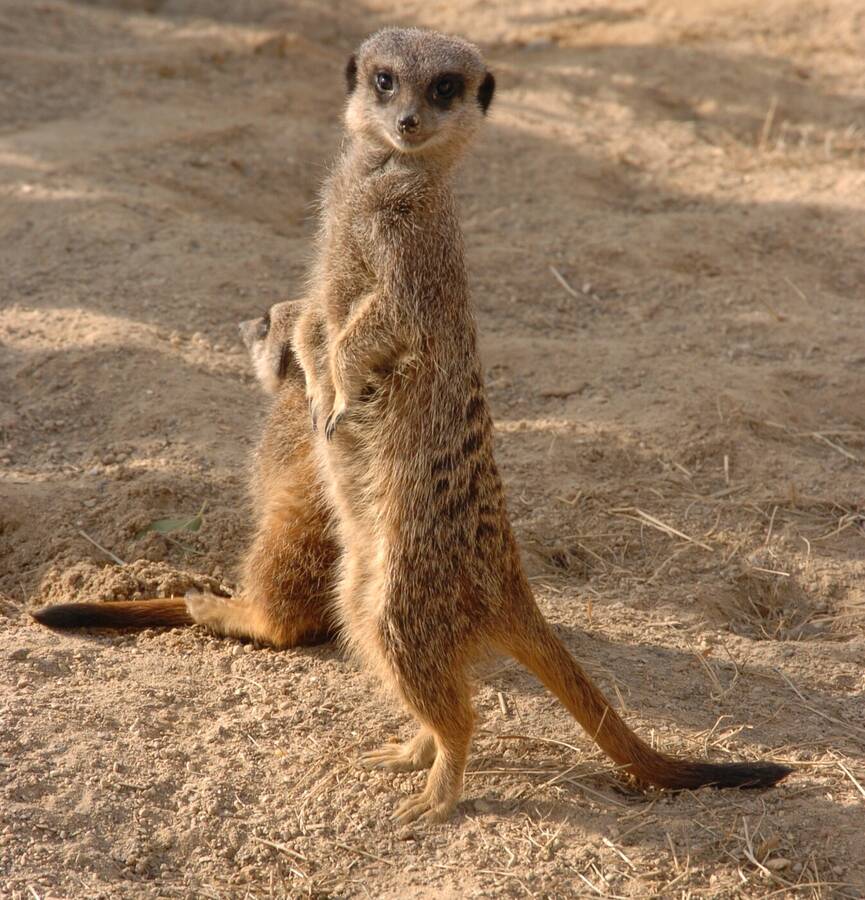 photographer Dave Wells uncategorized  photo