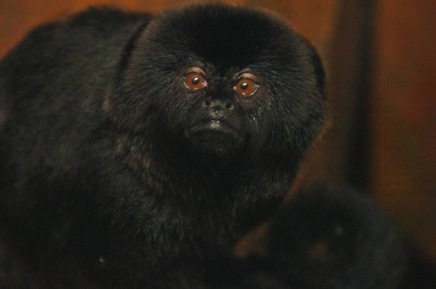 photographer Dave Wells uncategorized  photo