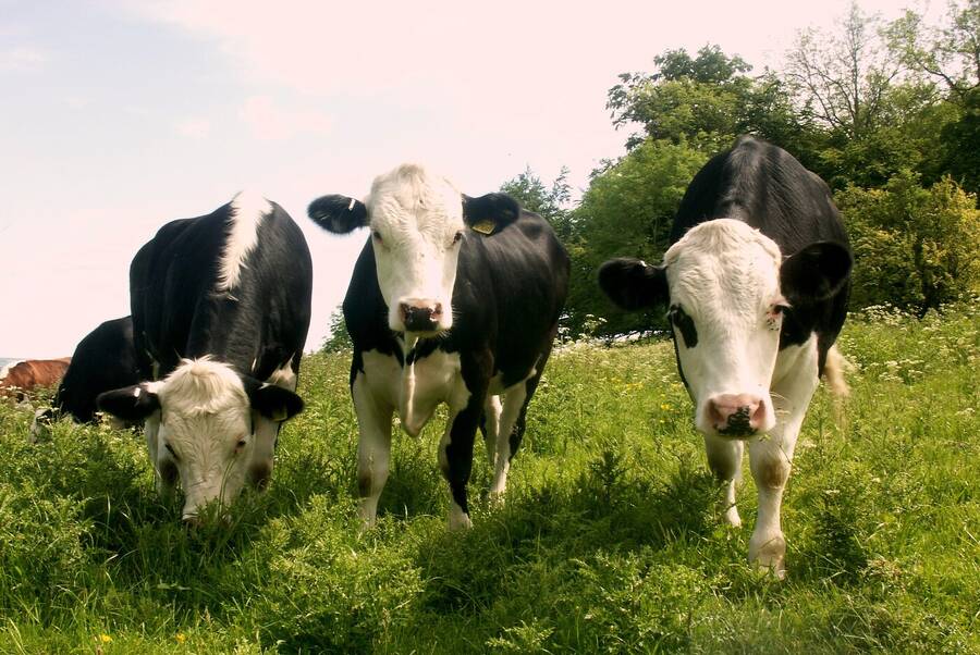 photographer Dave Wells uncategorized  photo