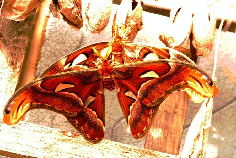 photographer Dave Wells uncategorized  photo