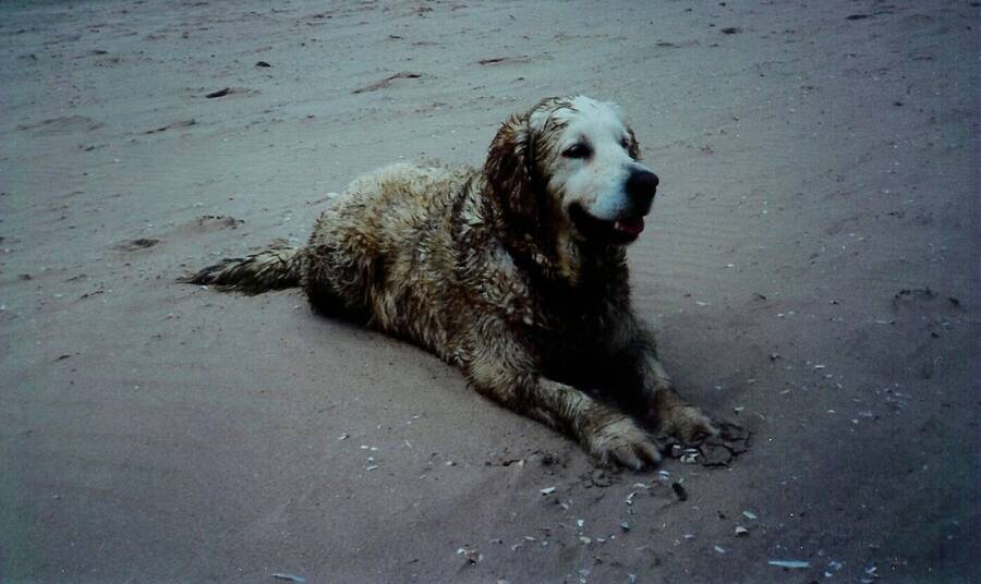 photographer Dave Wells uncategorized  photo