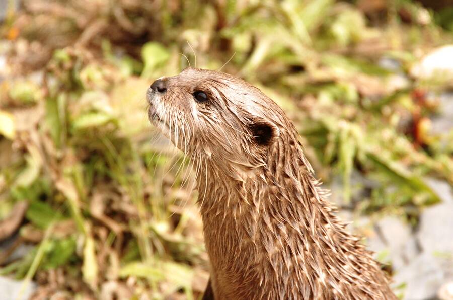 photographer Dave Wells uncategorized  photo