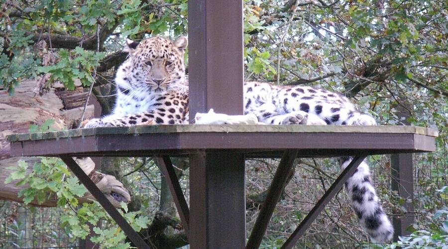 photographer Dave Wells uncategorized  photo