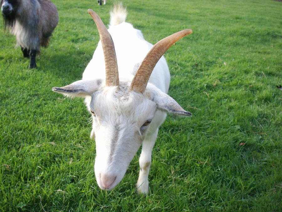 photographer Dave Wells uncategorized  photo