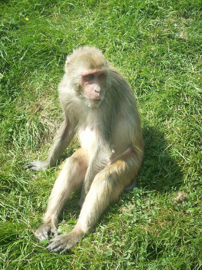 photographer Dave Wells uncategorized  photo