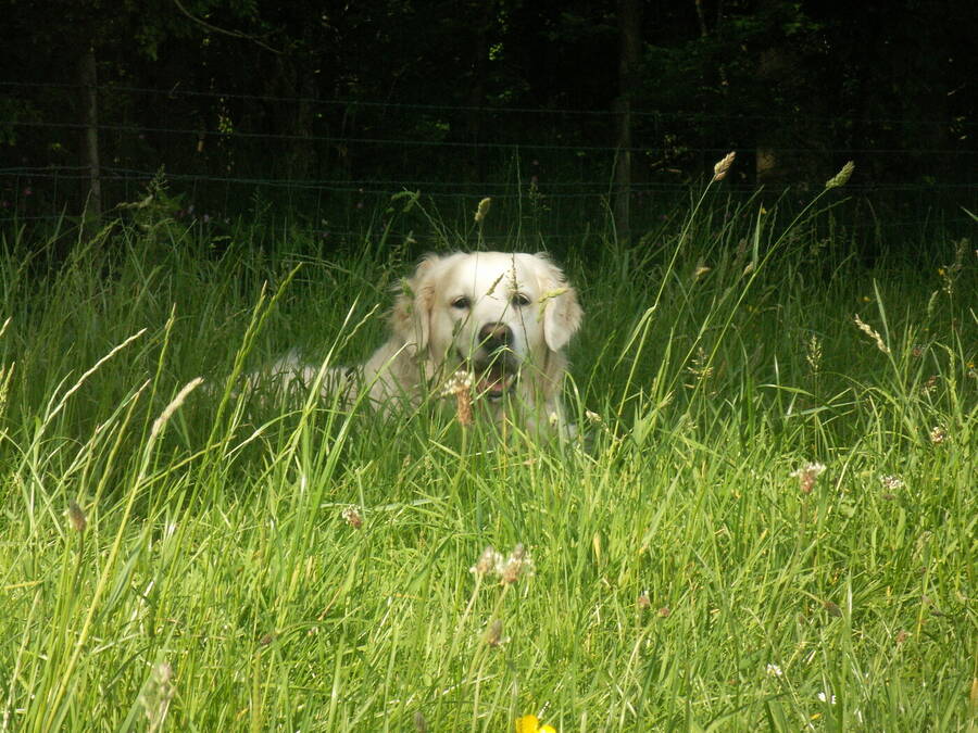 photographer Dave Wells uncategorized  photo