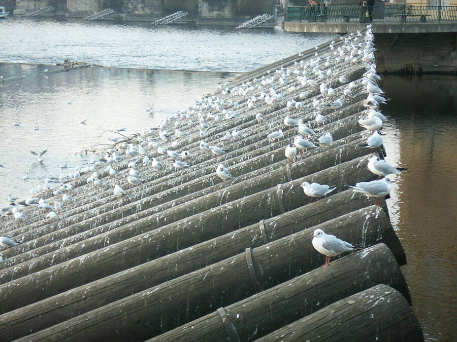 photographer Dave Wells uncategorized  photo