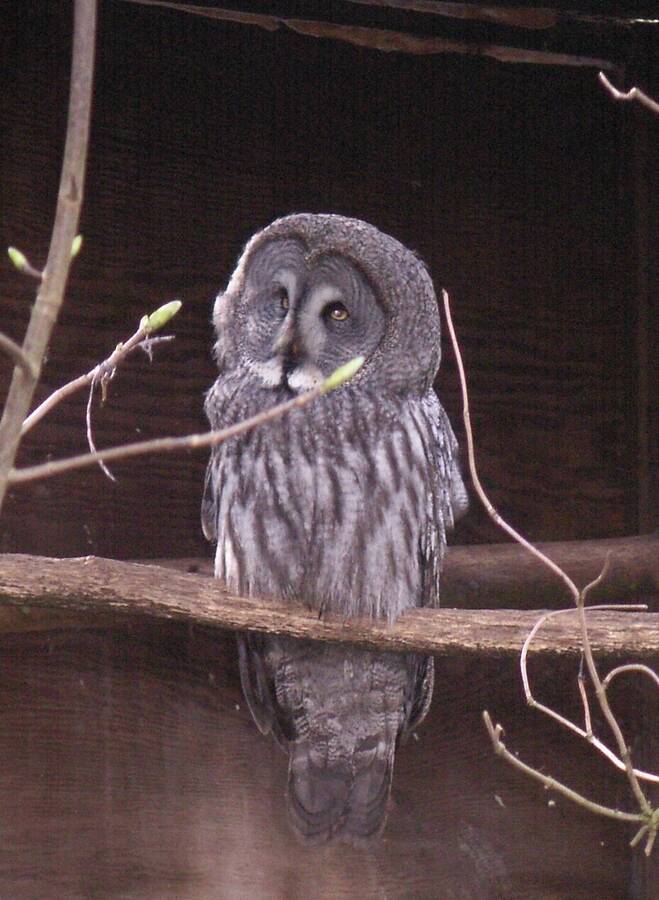 photographer Dave Wells uncategorized  photo