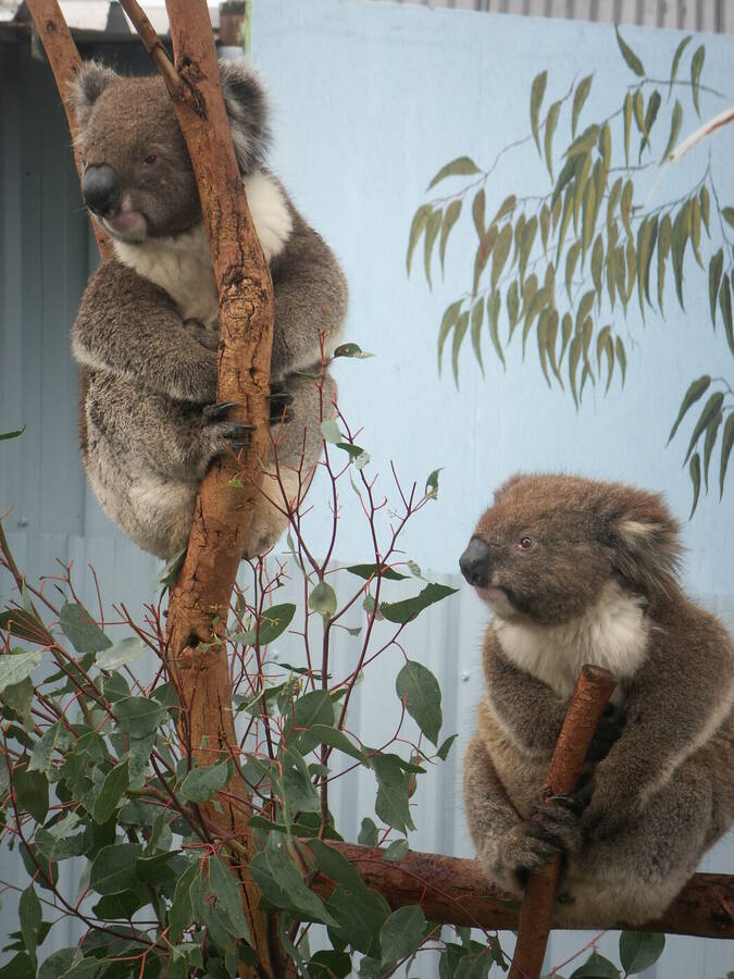 photographer Dave Wells uncategorized  photo