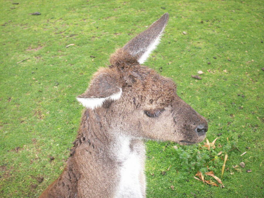 photographer Dave Wells uncategorized  photo