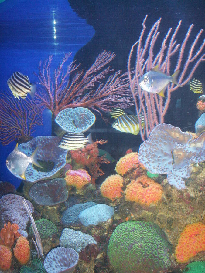 photographer Dave Wells uncategorized  photo