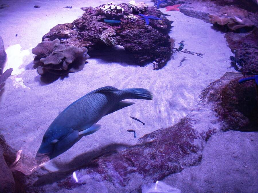 photographer Dave Wells uncategorized  photo