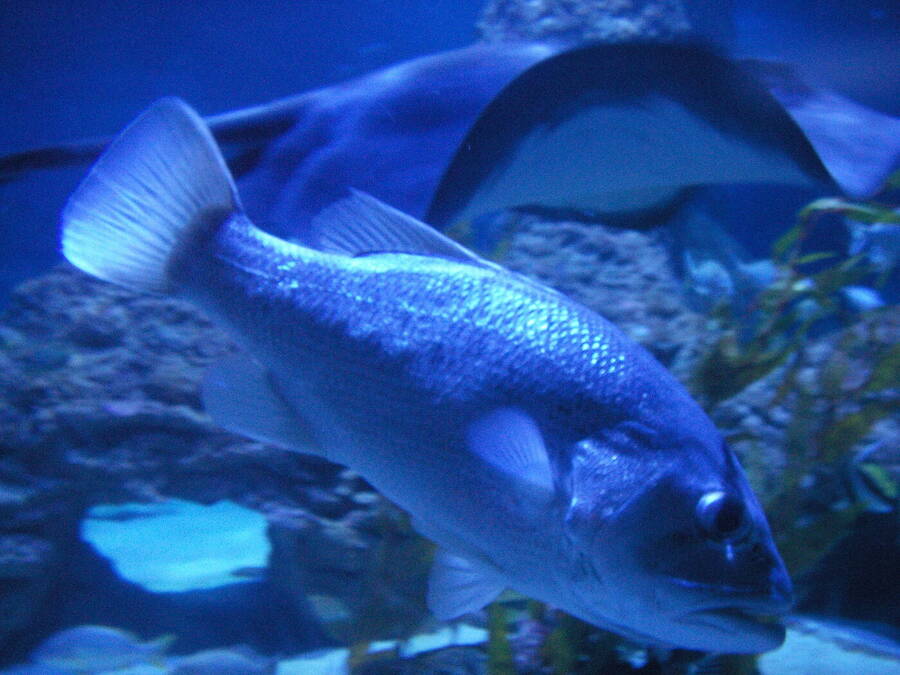 photographer Dave Wells uncategorized  photo