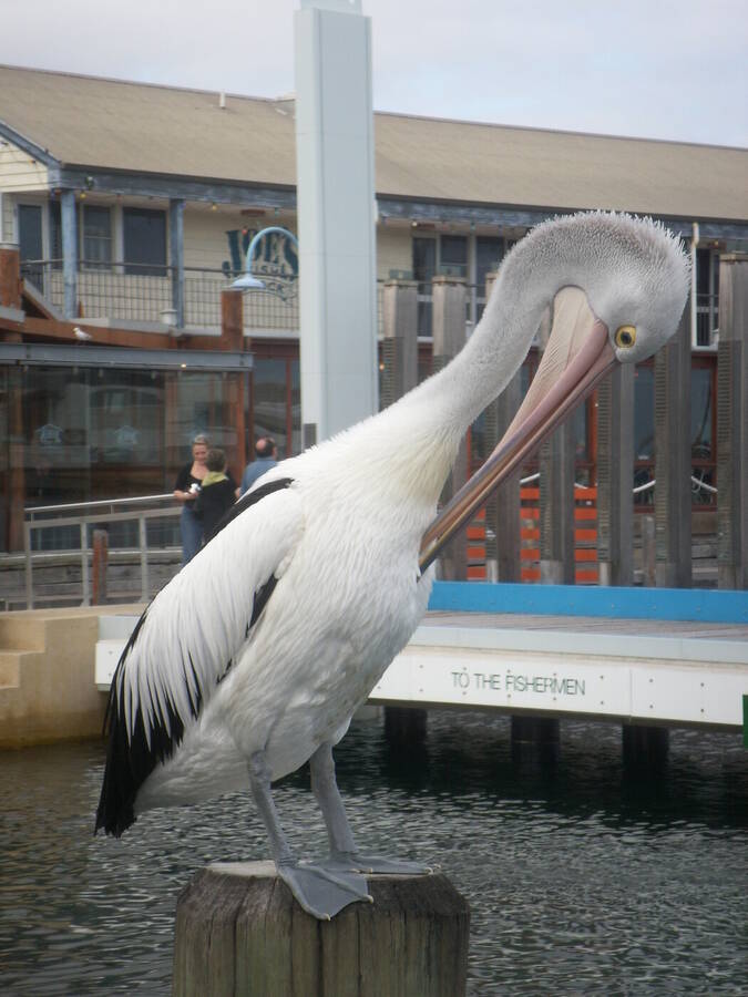 photographer Dave Wells uncategorized  photo