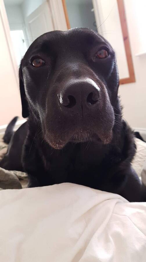 photographer Dave Wells uncategorized  photo