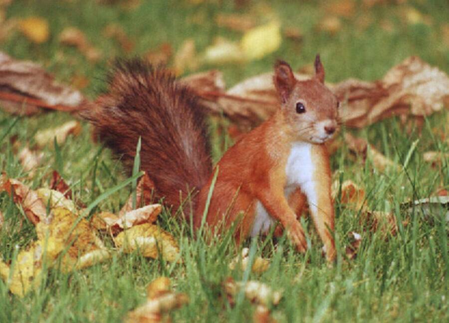 photographer Dave Wells uncategorized  photo