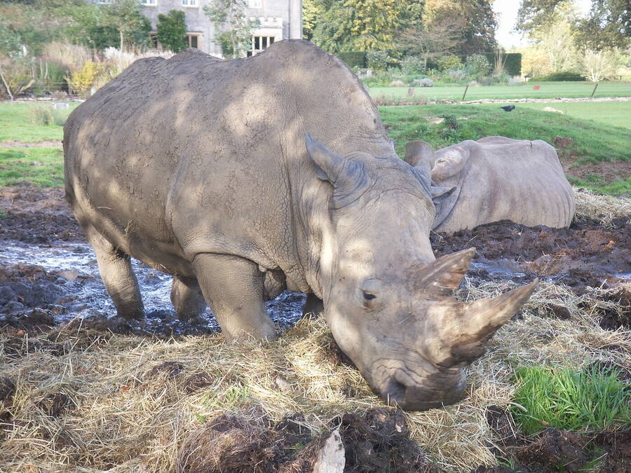 photographer Dave Wells uncategorized  photo