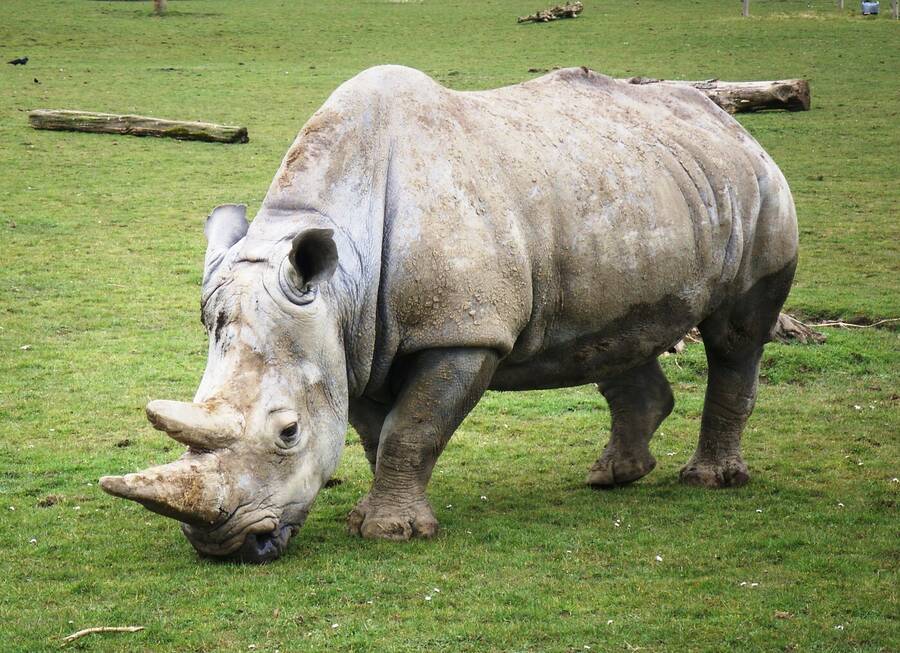 photographer Dave Wells uncategorized  photo