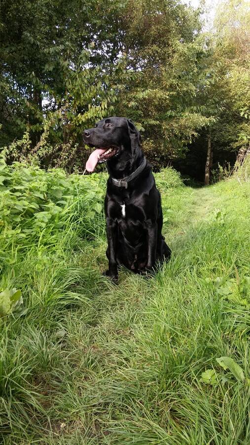 photographer Dave Wells uncategorized  photo