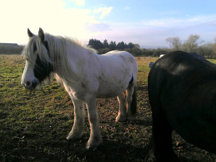 photographer Dave Wells uncategorized  photo