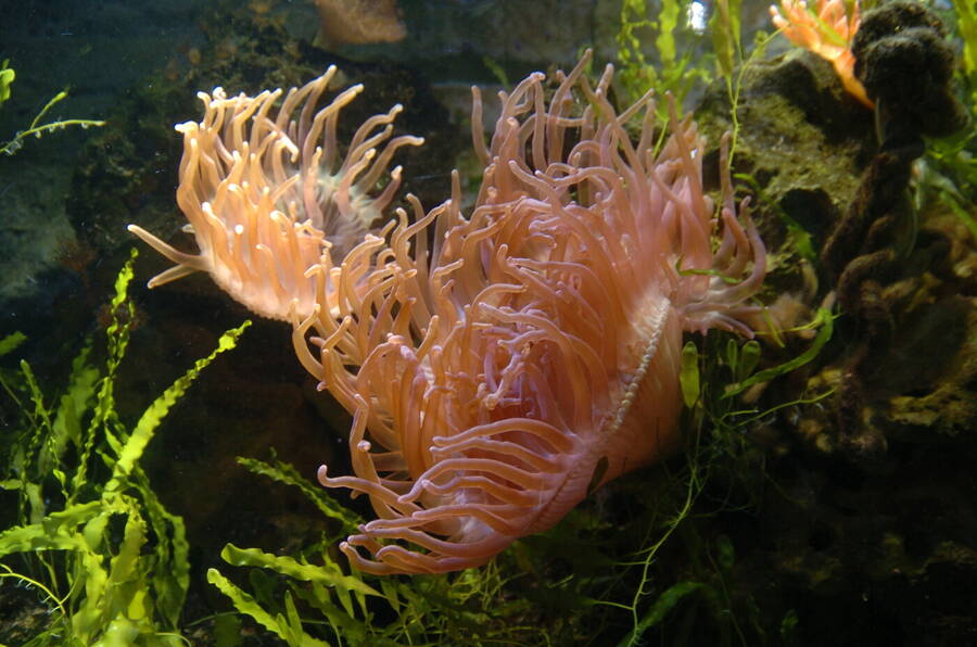 photographer Dave Wells uncategorized  photo