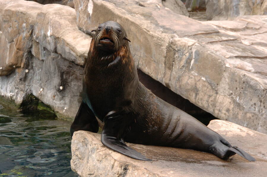 photographer Dave Wells uncategorized  photo