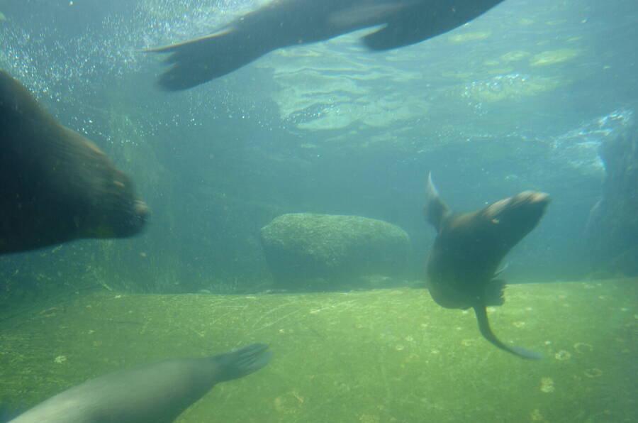 photographer Dave Wells uncategorized  photo