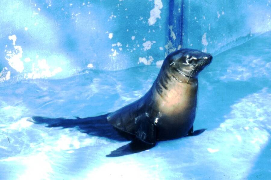 photographer Dave Wells uncategorized  photo