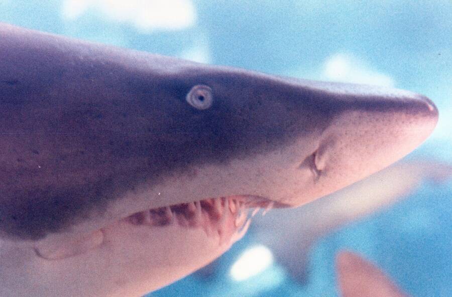 photographer Dave Wells uncategorized  photo