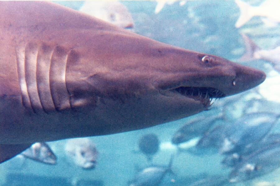 photographer Dave Wells uncategorized  photo