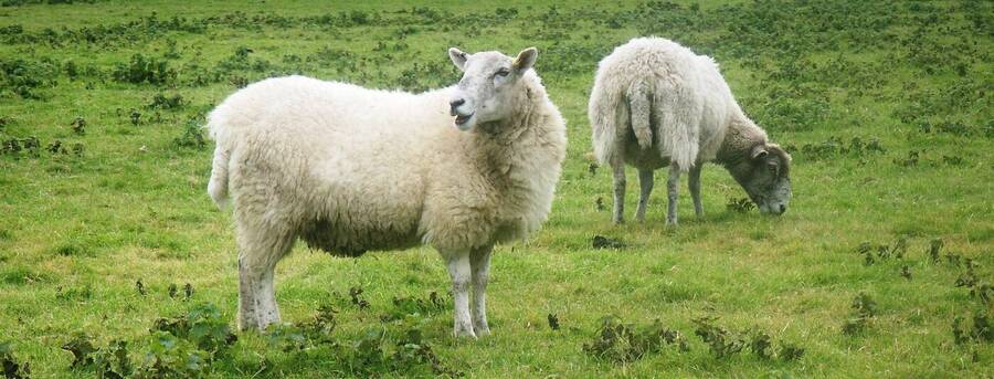 photographer Dave Wells uncategorized  photo