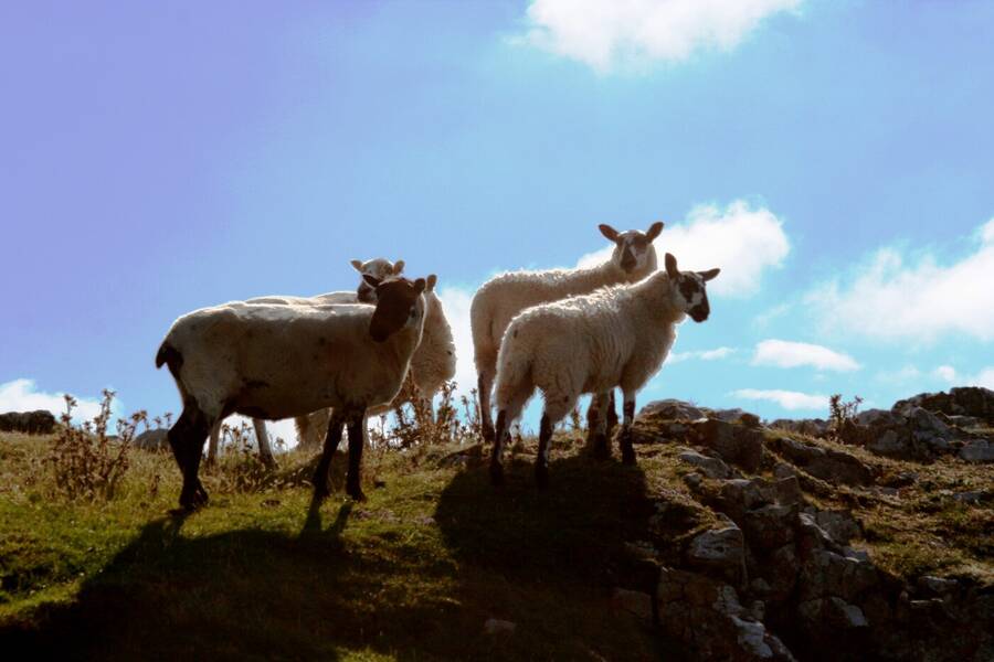 photographer Dave Wells uncategorized  photo