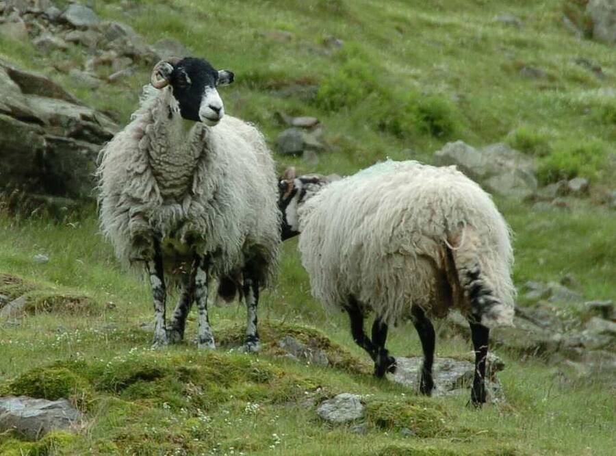 photographer Dave Wells uncategorized  photo