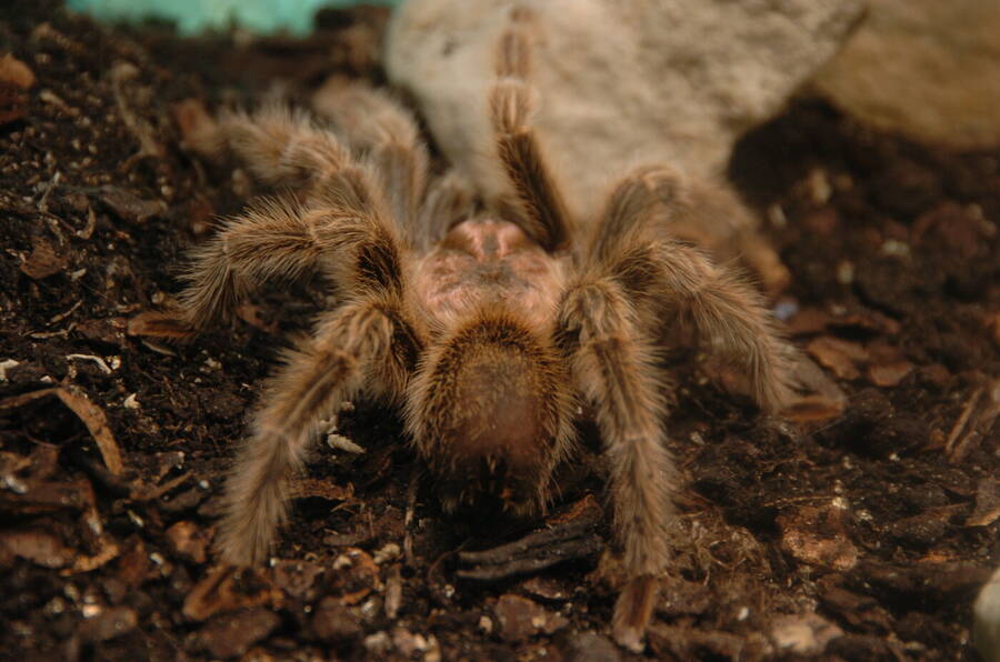 photographer Dave Wells uncategorized  photo