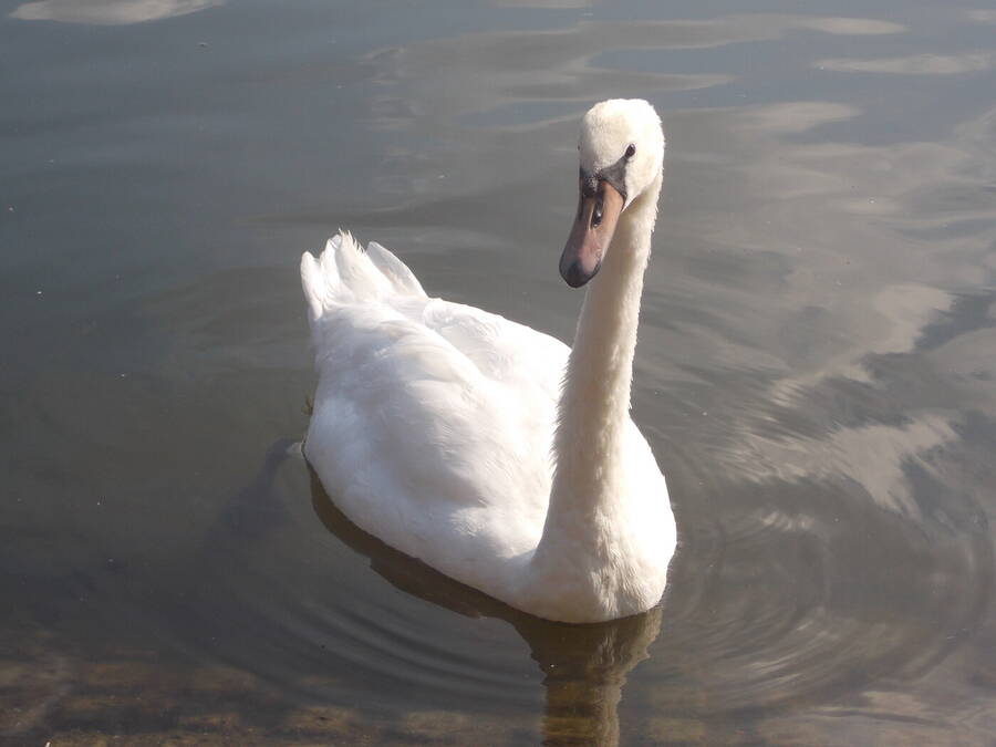 photographer Dave Wells uncategorized  photo