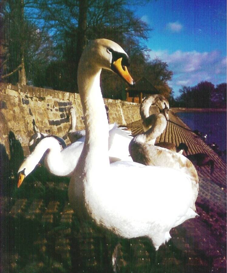 photographer Dave Wells uncategorized  photo