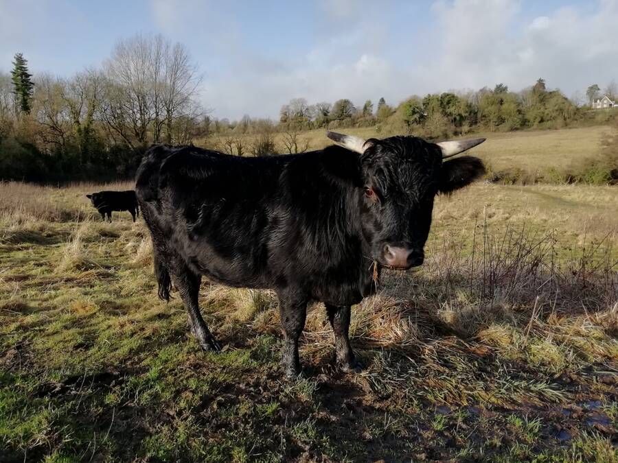 photographer Dave Wells uncategorized  photo