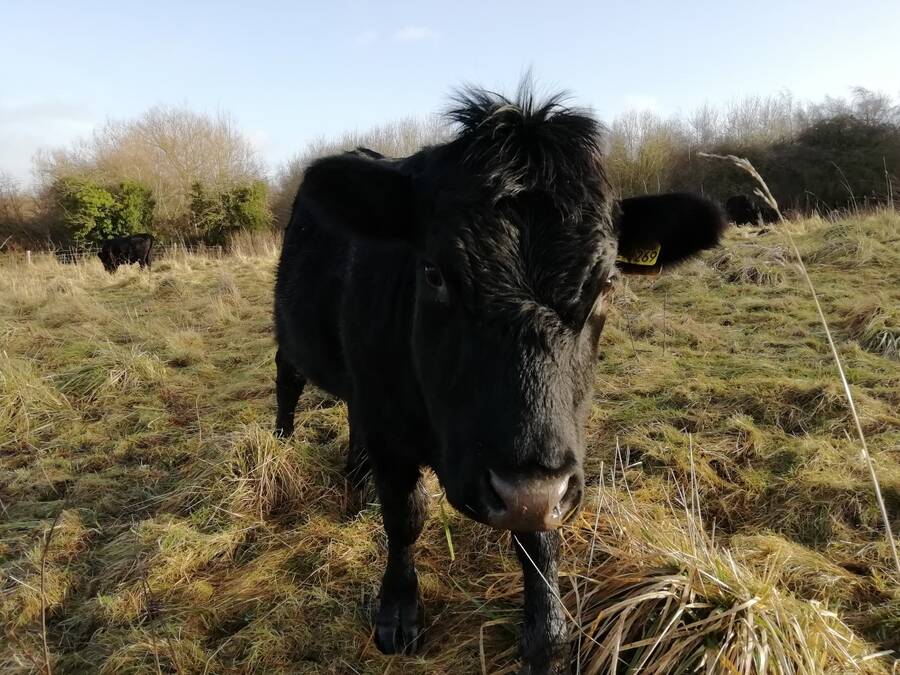 photographer Dave Wells uncategorized  photo